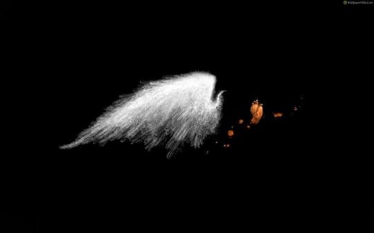 wings-background-miscellaneous-collection-best-desktop
