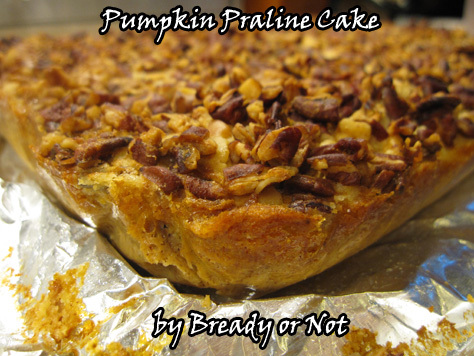 Pumpkin Praline Cake