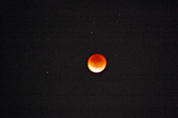 Blood Moon Omens