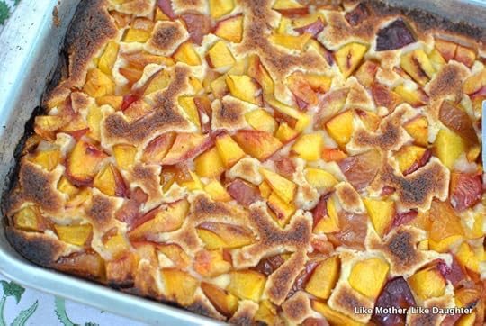 nectarine cake-005