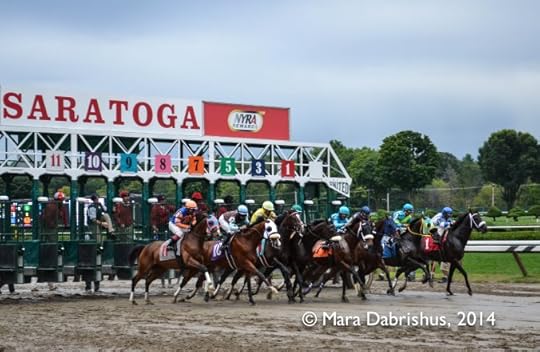 Saratoga! (With my annoying watermark. I apologize.)