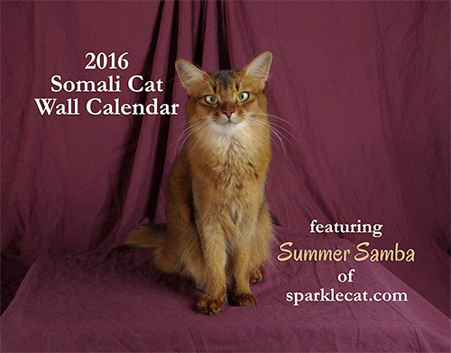 Summer's Regular 2016 Wall calendar