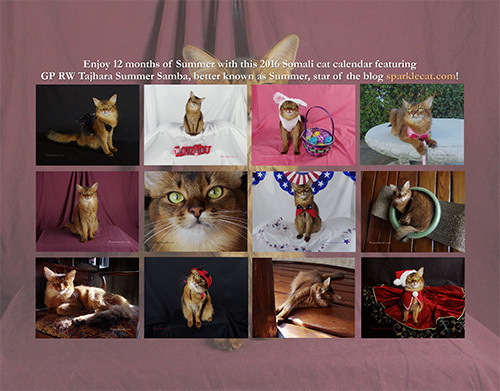 You can see all the months' photos here!