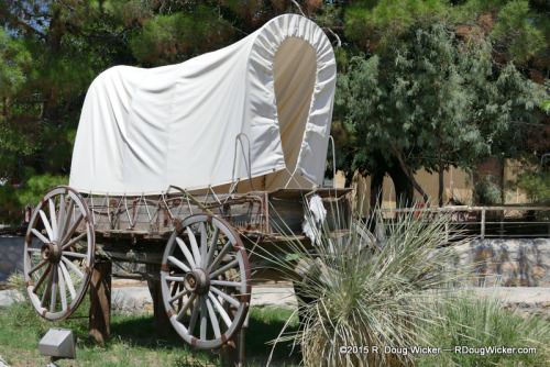 Covered Wagon
