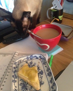 Simba är helt besatt av brödsmulor.