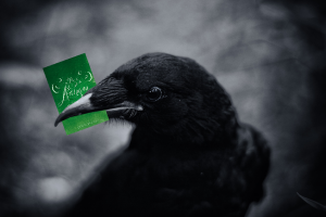 ravenholdingbook