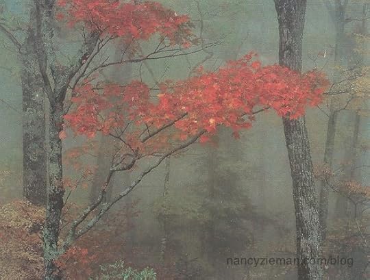 Beginning landscape Quilting Natalie Sewell and Nancy Zieman