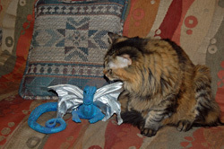 Kel Contemplates a Companion Alien