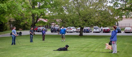 AmericanVetsTrainingProgramlong leash