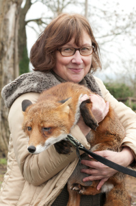 Inese MJ Photography