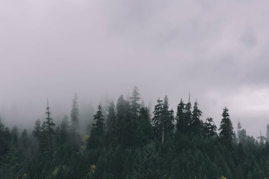 20514328435_55044ef2db_o