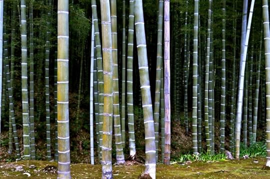 Ukyo Ward, Kyoto, Kyoto Prefecture, Japan