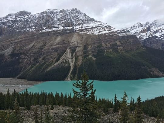 Lago Peyto