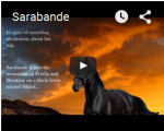 Click here to see the trailer on YouTube
