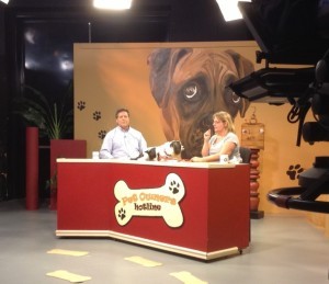 Cindi on TV 3, Feb 2014