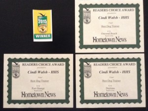 Cindi's Training Awards