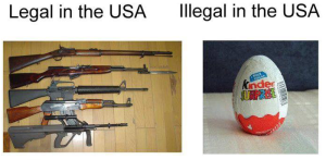 Gun or Egg?