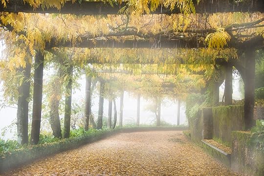 Autumn Arbor © Harold Davis