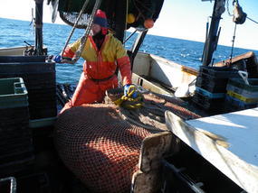 Mike Pawluk on Kirsten Lee