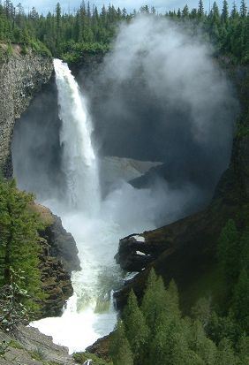 Bear - Helmcken