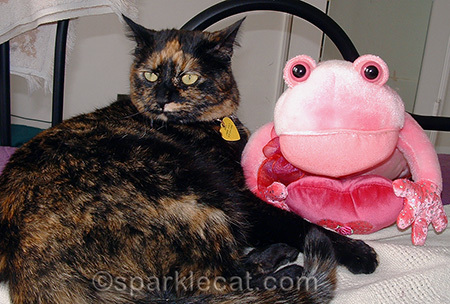 Later on, she tried to kill it