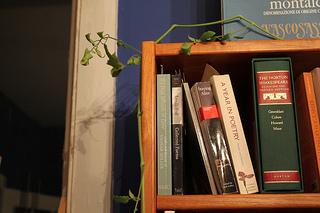11. poems