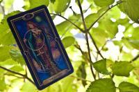 Choose your free tarot card with our psychic tanya.