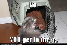 e4fc325ad0feb361712b2b73f57c5f89