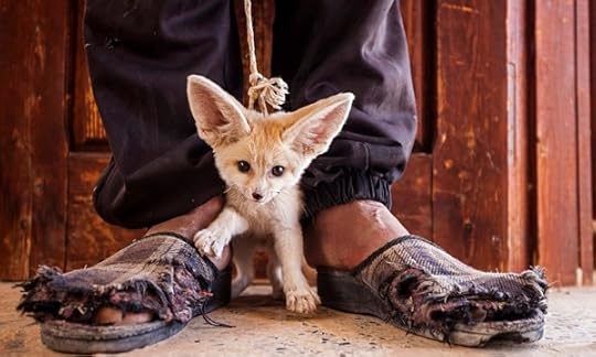 kittyinmorocco