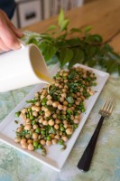 Plant-Based Protein Guide