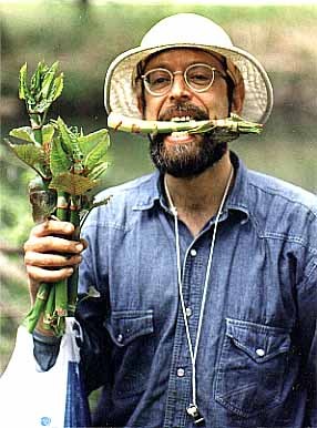 Wildman Devours Japanese Knotweed