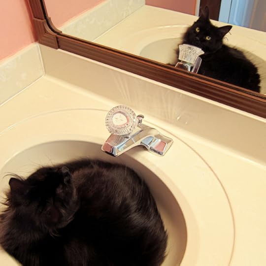 atticus in mirror web