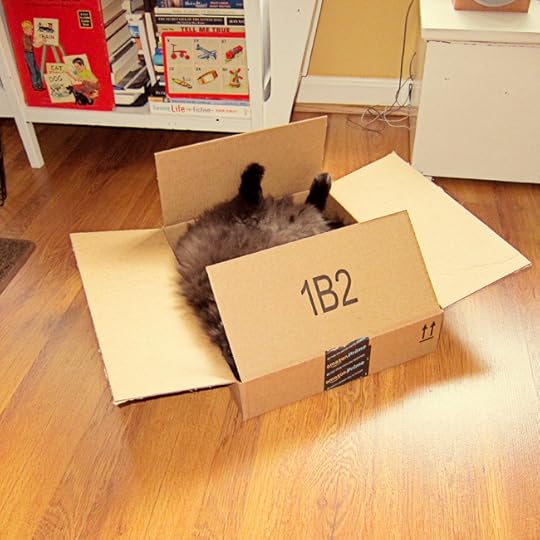 atticus back box web