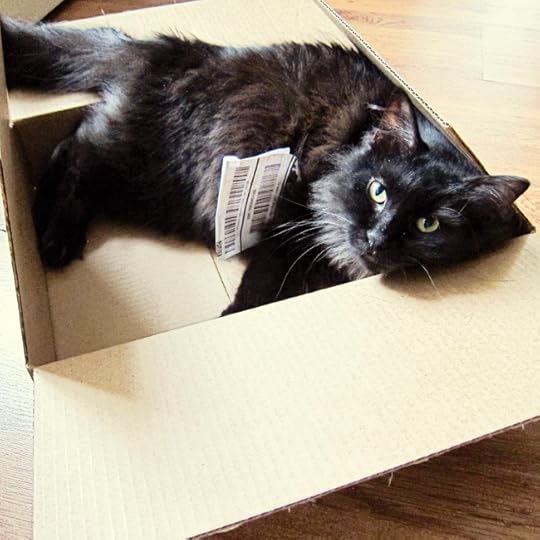 box atticus sticker web