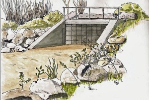 Where Riviere Lairet exits into Parc Brebeuf