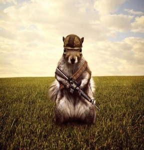 A- Humor armed squirel