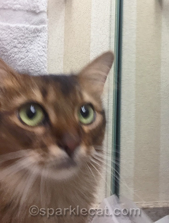 The first time is always blurry