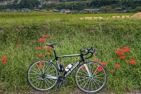 Closer Crop -- Kyoto, Japan -- Copyright 2015 Jeffrey Friedl, http://regex.info/blog/