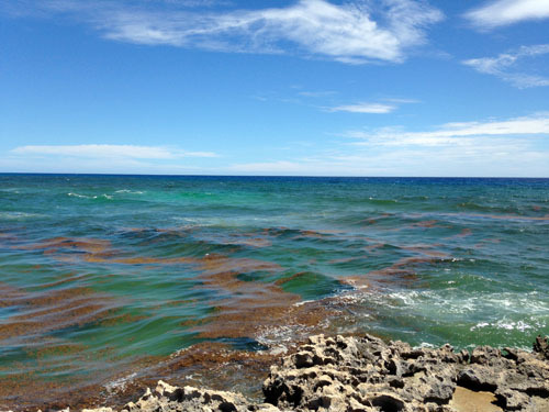 Cozumel waves