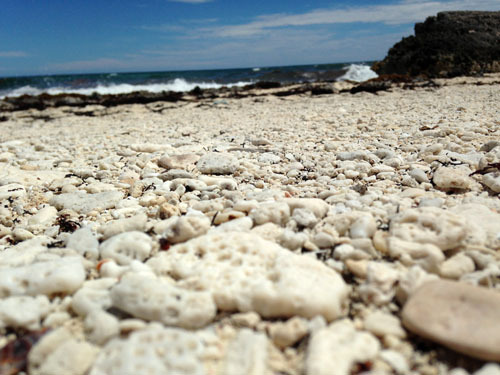 Cozumel pebbles
