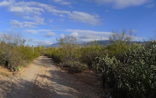 The driveway to my old house in Tucson