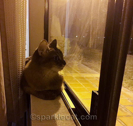 Sadly, Bird TV was off for the night