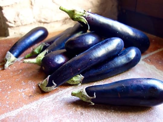 Roasted Eggplant with Herbs