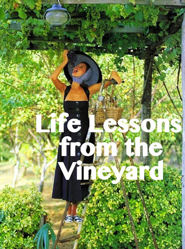 lifelessonsvineyard