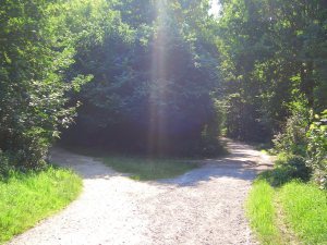 Photo Credit: Diluculi, deviantart.com