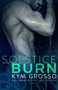 SolticeBurnCover