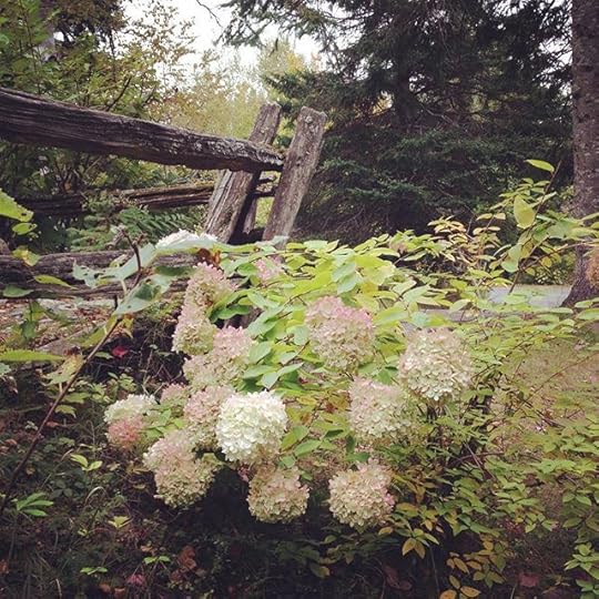 Automne