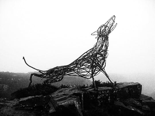 The Beast of Ilkley Moor - this fabulous structure appeared one evening at Windgate Nick - a vantage point high on the moors. It stayed for a few weeks then just as mysteriously disappeared. No one knows who put it there or where it went. Just another mystery on a very creepy moor.