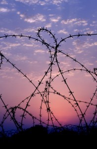 Barb wire against sunset