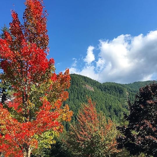 12093620_1049400405092523_1617234204_n